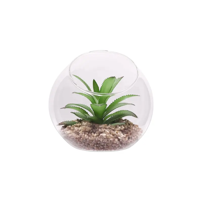 Regent Large Artificial Succulent Arrangement In Transparent Glass Sphere – 120 × 110 Mm 1